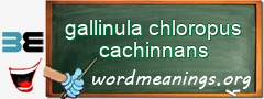 WordMeaning blackboard for gallinula chloropus cachinnans